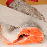 Salmon